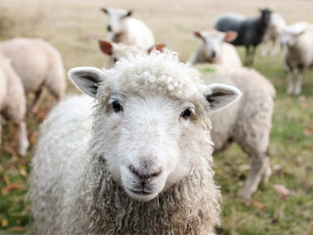 Easter Adventures in the Peak District Near The Ashford Arms