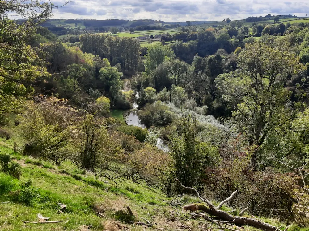 On our Doorstep